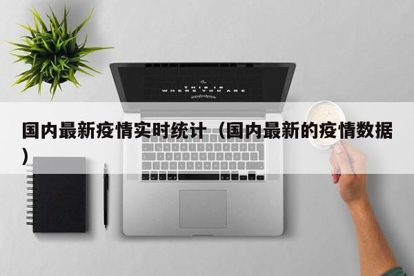 国内最新疫情实时统计（国内最新的疫情数据）
